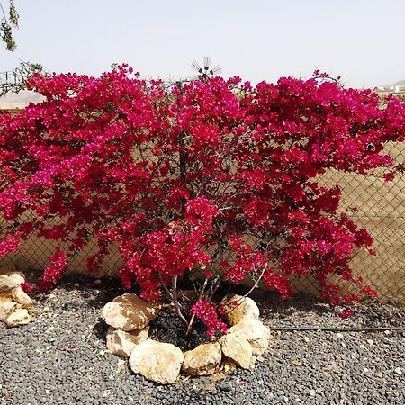 Dunasol Fuerteventura Corralejo Kültér fotó